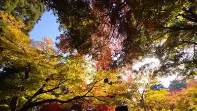 珍蔵寺　(山形県)