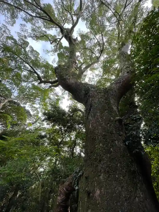 葭原神社(皇大神宮末社)(三重県)