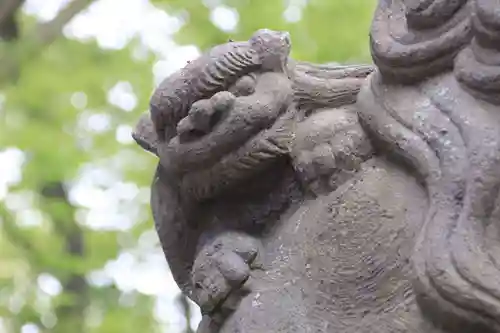 熊野福藏神社の狛犬