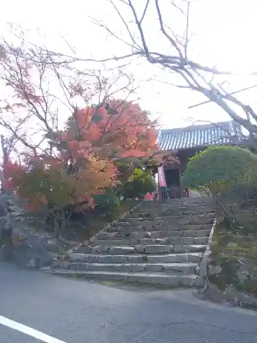 法輪寺の山門