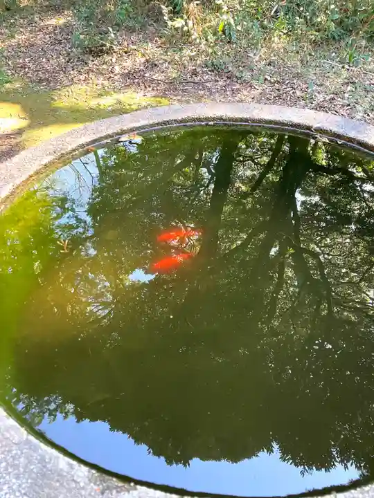 大宮大神(茨城県)