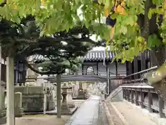 十輪寺の建物その他