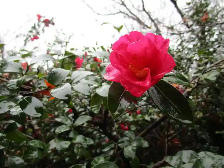 北野天満宮(京都府)