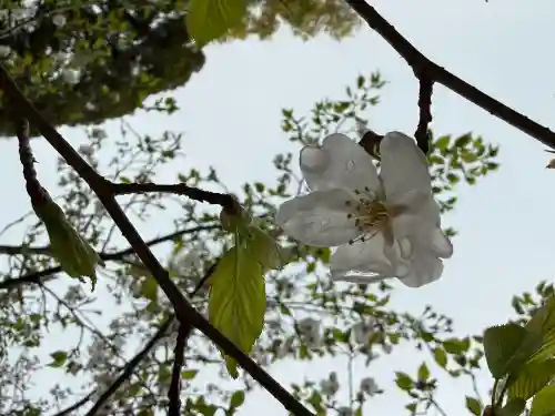 赤坂氷川神社の{uncategorized: "未分類", other: "その他", undefined: "問題あり", building: "その他建物", grave: "お墓", sacred_gate: "鳥居", guardian: "狛犬", statue: "像", buddha: "仏像", history: "歴史", nature: "自然", garden: "庭園", animal: "動物", pagoda: "塔", temizu: "手水舎", mountain_gate: "山門・神門", sanctuary: "本殿・本堂", subordinate: "末社・摂社", art: "芸術", scenery: "景色", jizo: "地蔵", ema: "絵馬", goshuin: "御朱印", omikuji: "おみくじ", items: "授与品その他", amulet: "お守り", goshuincho: "御朱印帳", eats: "食事", festival: "お祭り", votive_dance: "神楽", shichigosan: "七五三参", wedding: "結婚式", experience: "体験その他", initially: "初詣", around: "周辺", anti_infection: "感染症対策"}