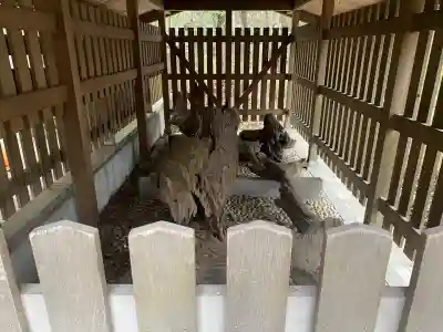 自凝島神社の{uncategorized: "未分類", other: "その他", undefined: "問題あり", building: "その他建物", grave: "お墓", sacred_gate: "鳥居", guardian: "狛犬", statue: "像", buddha: "仏像", history: "歴史", nature: "自然", garden: "庭園", animal: "動物", pagoda: "塔", temizu: "手水舎", mountain_gate: "山門・神門", sanctuary: "本殿・本堂", subordinate: "末社・摂社", art: "芸術", scenery: "景色", jizo: "地蔵", ema: "絵馬", goshuin: "御朱印", omikuji: "おみくじ", items: "授与品その他", amulet: "お守り", goshuincho: "御朱印帳", eats: "食事", festival: "お祭り", votive_dance: "神楽", shichigosan: "七五三参", wedding: "結婚式", experience: "体験その他", initially: "初詣", around: "周辺", anti_infection: "感染症対策"}