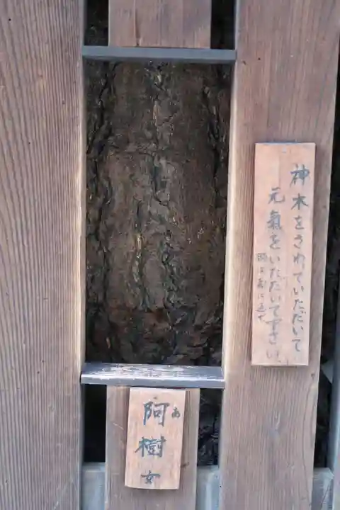 平等寺(因幡堂)(京都府)