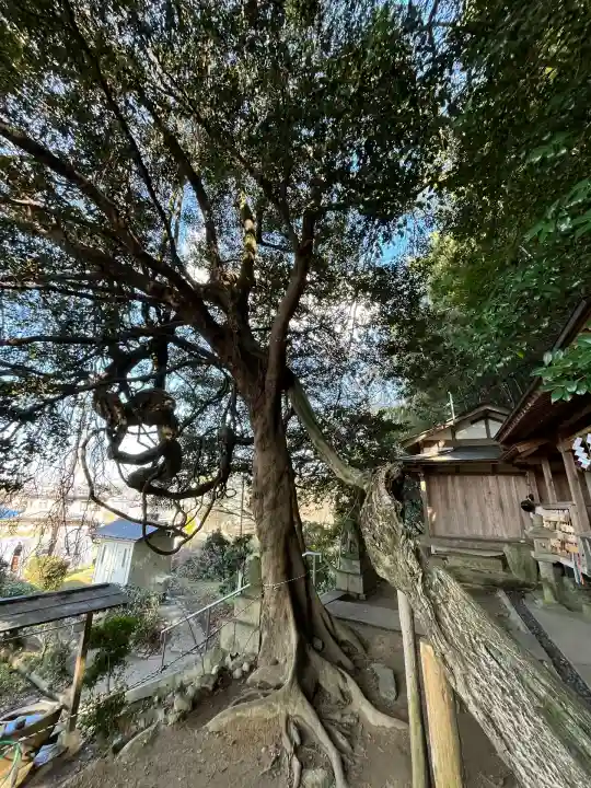 腰神神社(大阪府)