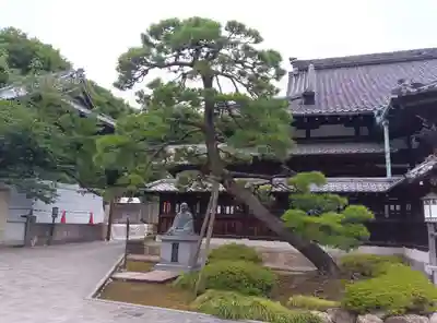 泉岳寺(東京都)