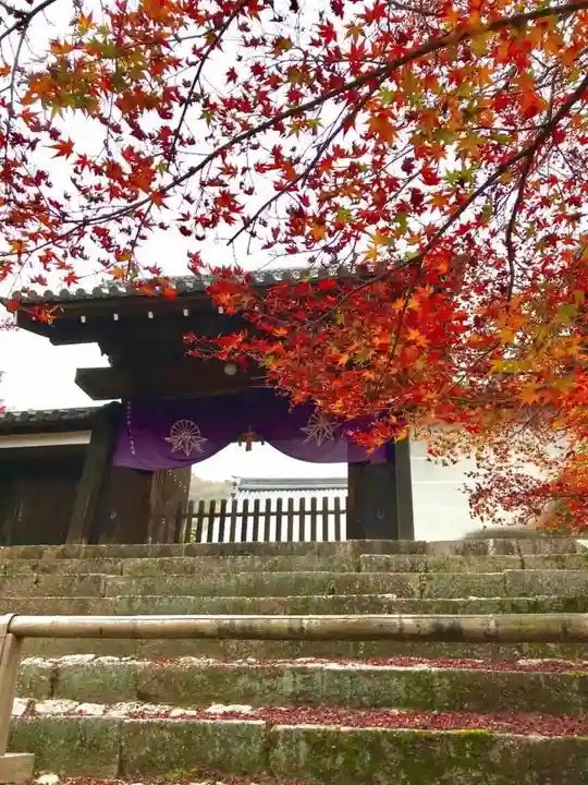 曼殊院門跡の山門・神門