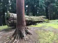 名草神社の自然