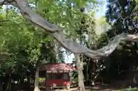 藤稲荷神社の本殿・本堂