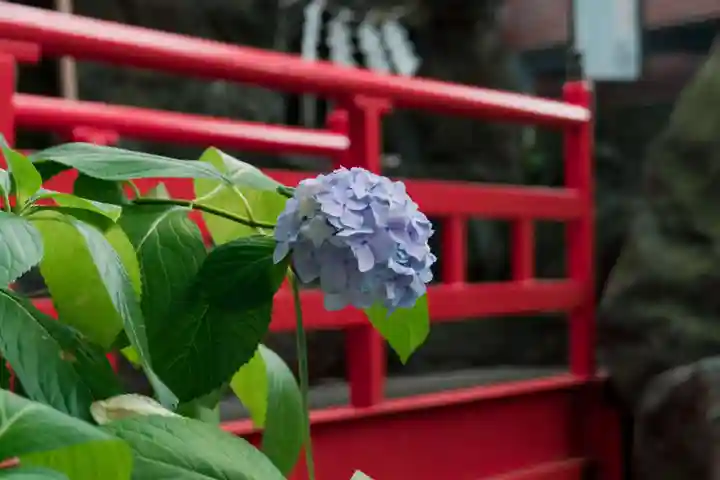葛西神社(東京都)