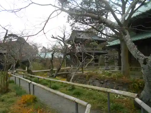 英勝寺の庭園