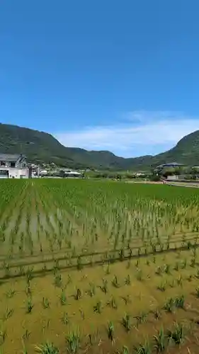 國分八幡宮(香川県)