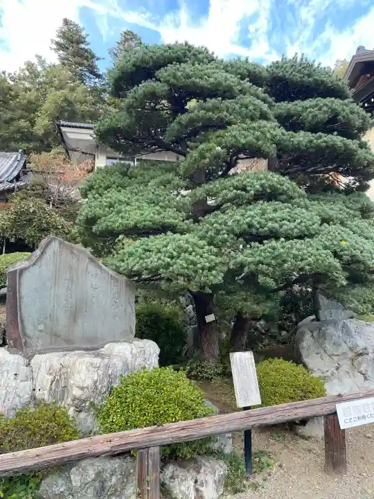 玉泉寺(埼玉県)