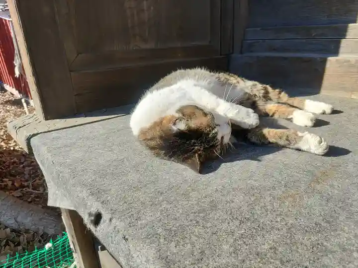 八枝神社(埼玉県)