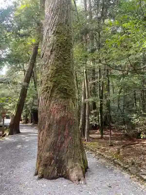 瀧原宮(皇大神宮別宮)(三重県)