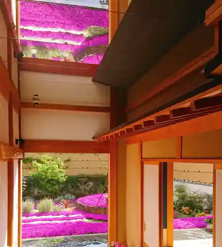 寿量山　速成寺(奈良県)
