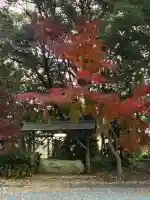 宗像神社(静岡県)