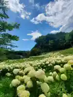 陽林寺(福島県)