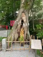 秩父今宮神社(埼玉県)