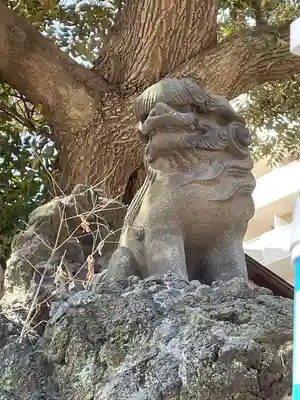 大綱金刀比羅神社(神奈川県)