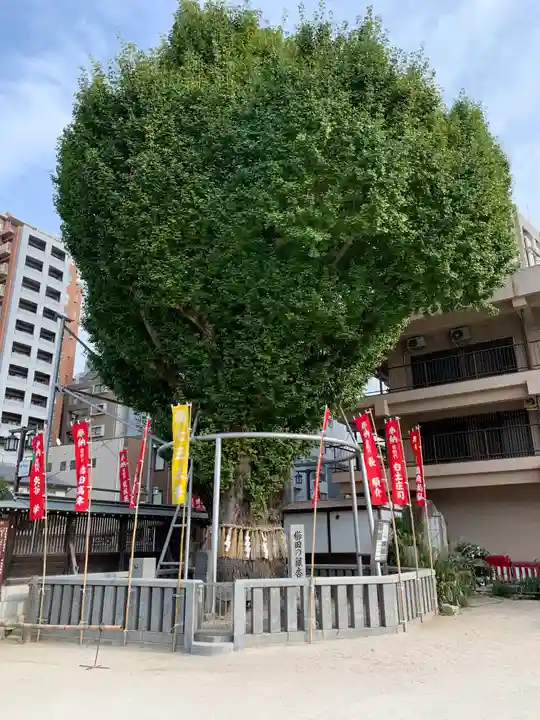 櫛田神社の自然
