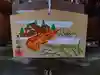 土佐神社の絵馬