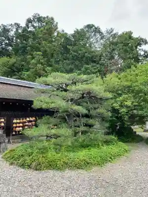 梅宮大社(京都府)