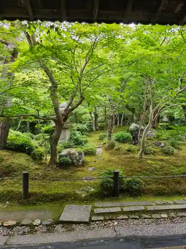 圓光寺(京都府)