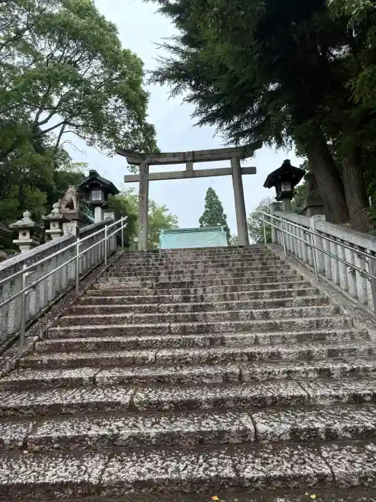 遠石八幡宮の{uncategorized: "未分類", other: "その他", undefined: "問題あり", building: "その他建物", grave: "お墓", sacred_gate: "鳥居", guardian: "狛犬", statue: "像", buddha: "仏像", history: "歴史", nature: "自然", garden: "庭園", animal: "動物", pagoda: "塔", temizu: "手水舎", mountain_gate: "山門・神門", sanctuary: "本殿・本堂", subordinate: "末社・摂社", art: "芸術", scenery: "景色", jizo: "地蔵", ema: "絵馬", goshuin: "御朱印", omikuji: "おみくじ", items: "授与品その他", amulet: "お守り", goshuincho: "御朱印帳", eats: "食事", festival: "お祭り", votive_dance: "神楽", shichigosan: "七五三参", wedding: "結婚式", experience: "体験その他", initially: "初詣", around: "周辺", anti_infection: "感染症対策"}