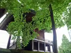 豊烈神社(山形県)