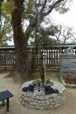 四條畷神社のその他建物