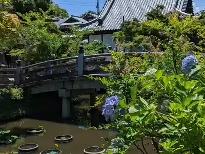 くろ谷 金戒光明寺(京都府)