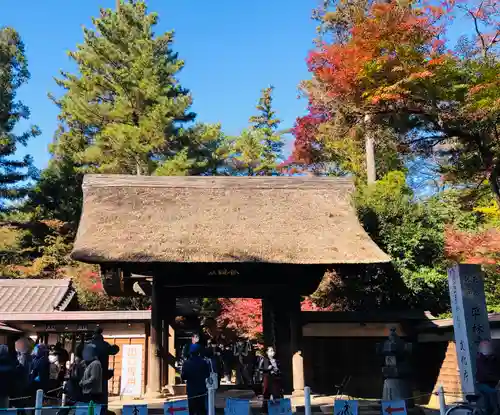 平林寺の山門