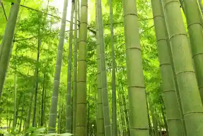 報国寺(神奈川県)