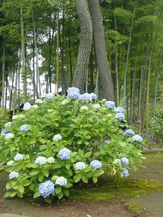 本牧神社(神奈川県)