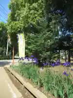 伏木香取神社(茨城県)