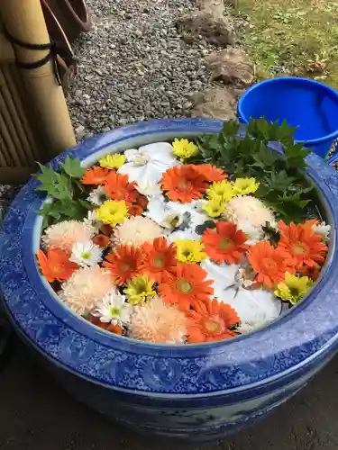 多賀神社の手水