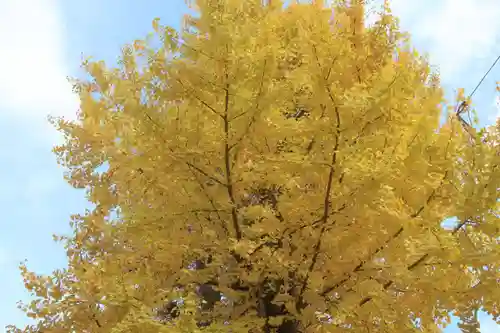 阿邪訶根神社の自然
