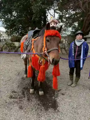 賀茂神社(滋賀県)