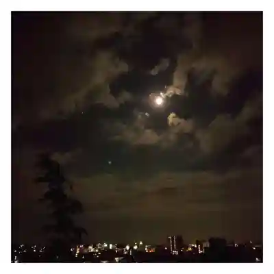 岐阜稲荷山本社(岐阜県)