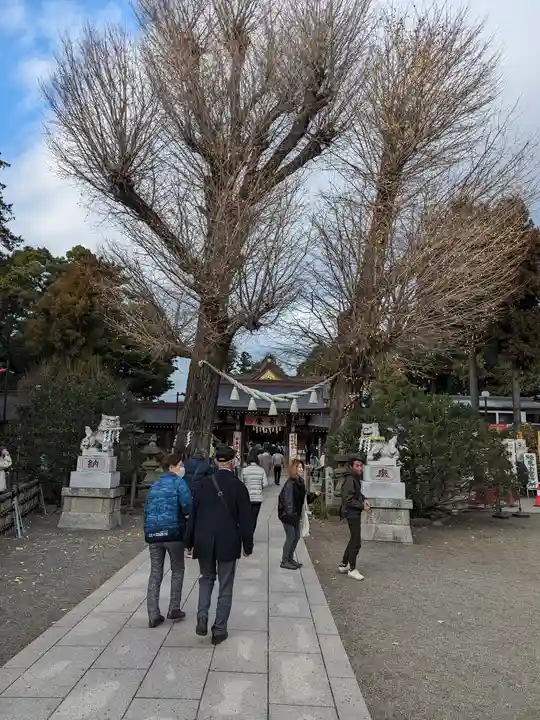 亀ケ池八幡宮(神奈川県)