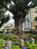 磐井神社(東京都)