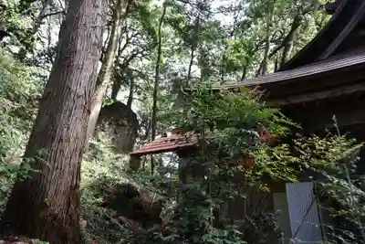 姥宮神社(埼玉県)