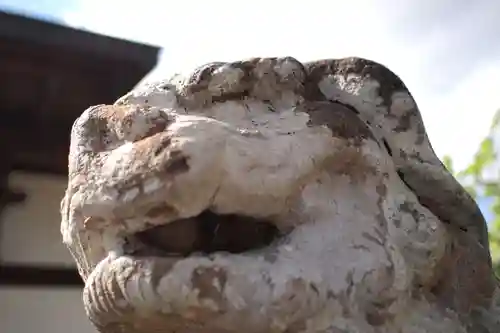 浅間神社の狛犬