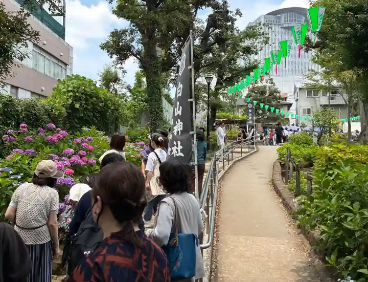 白山神社(東京都)
