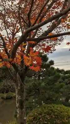 法金剛院(京都府)