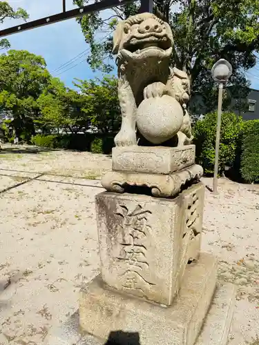 若松恵比須神社 の狛犬