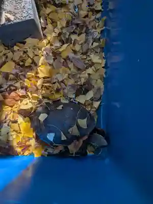 下谷神社(東京都)